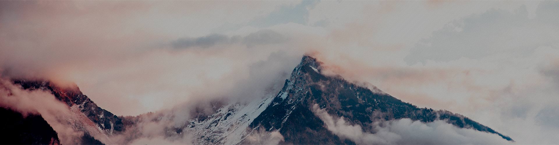 新闻动态 新闻动态